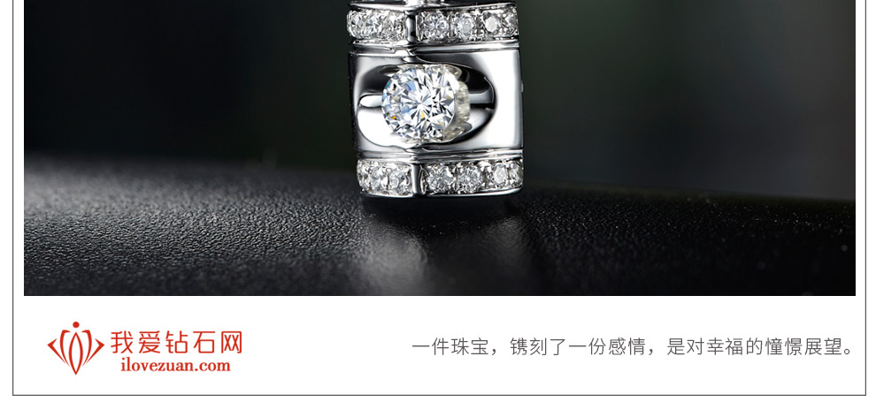 典雅/18K白金/PT950鉑金鉆墜托